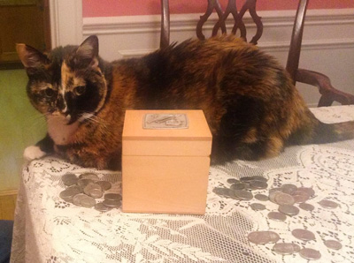 On Tzedakah Boxes and Feline Philanthropy photo